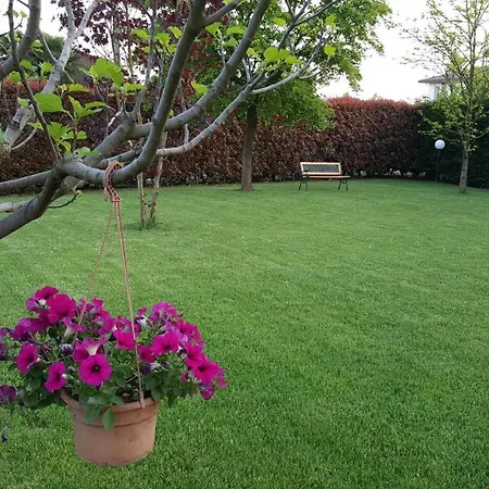 Il Farfasole Bed & Breakfast *