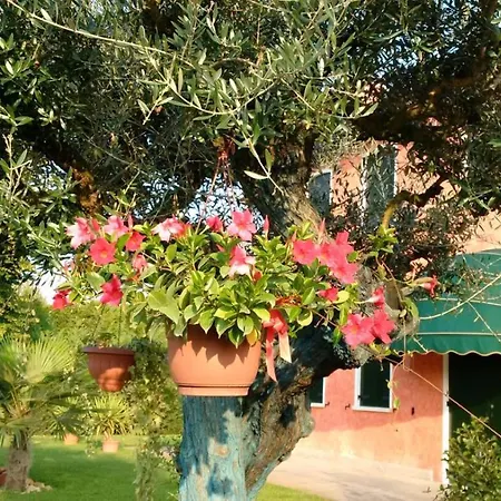 Bed & Breakfast Il Farfasole *