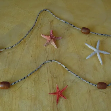 Il Farfasole 3* Vigonovo (Veneto)