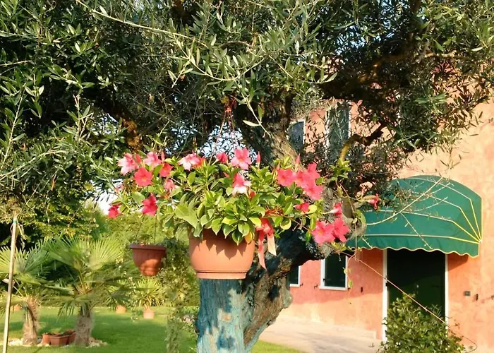 Bed and breakfast Il Farfasole 3*