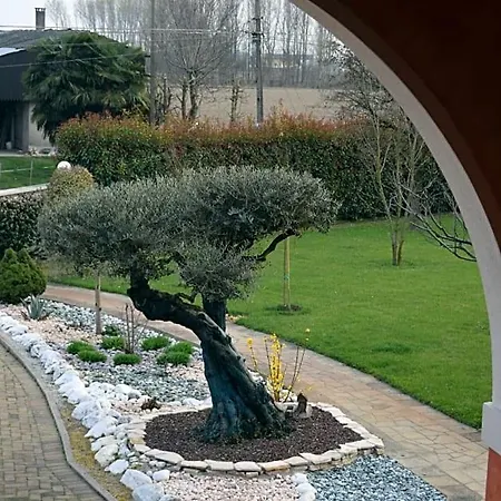 Bed & Breakfast Il Farfasole Vigonovo (Veneto)