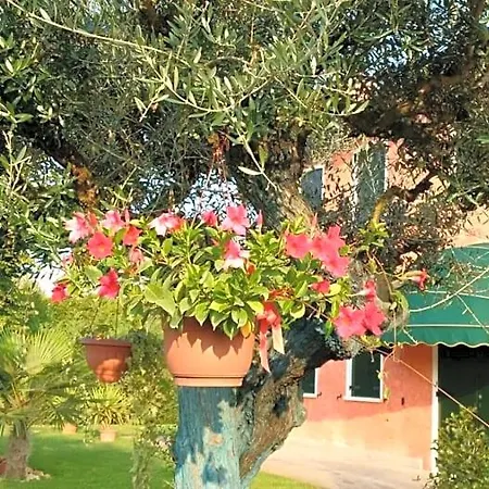 Il Farfasole Vigonovo (Veneto)